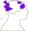Head And Brain Outline Clip Art