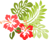 Hibiscus With Leaves Clip Art