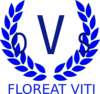 Qvs Fiji Logo Clip Art