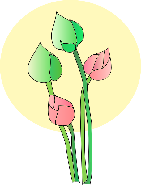 free lotus flower clip art - photo #34