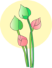 Lotus Flower Clip Art