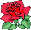 Red Rose Clip Art