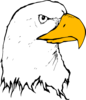 Eagle 22 Clip Art