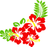 Hibiscus Nat Clip Art