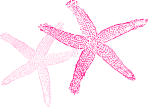 Multiple Pink Starfish Clip Art