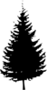 Black Pine Tree Clip Art