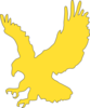 Gold Hawk Clip Art