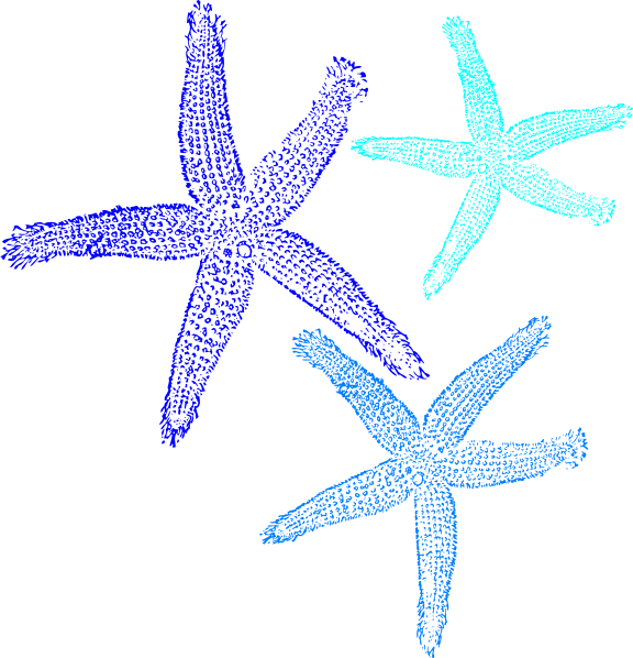 clipart pictures starfish - photo #25