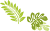 Leaves Clip Art