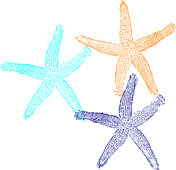 clipart pictures starfish - photo #4