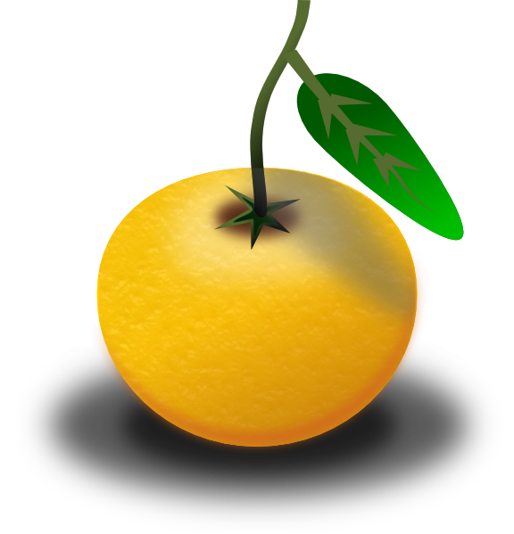 free clipart orange fruit - photo #17