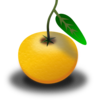 Orange Fruit Clip Art