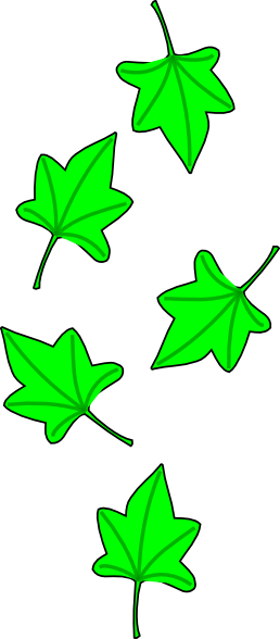 clip art grape leaf - photo #10