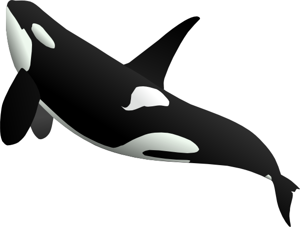 clipart of whale - photo #45