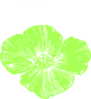 Green Poppies Clip Art