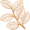 Burnt Orange Leaves Clip Art