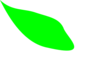 Light Green Leaf Clip Art