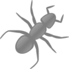 Gray Ant2 Clip Art