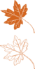 Leaf Outline Clip Art