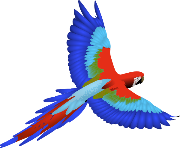 clipart of parrot - photo #5