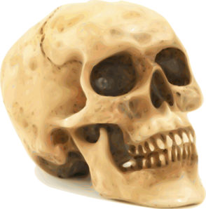 Skull Clip Art