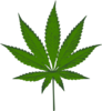 Weed Green Logo Clip Art