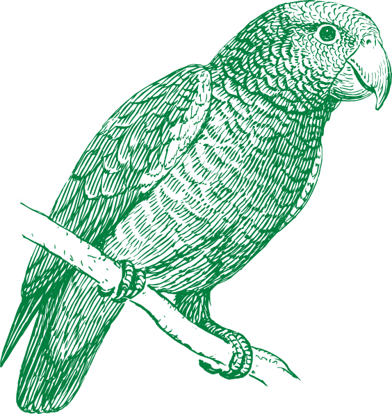 green parrot clipart - photo #16