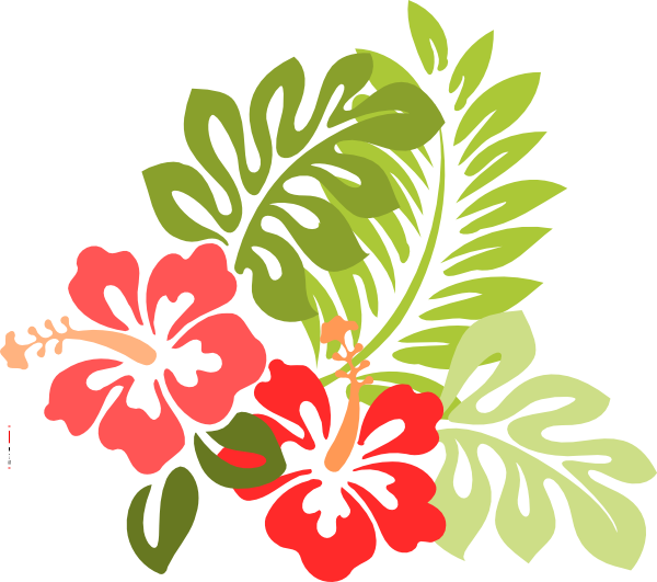 free tropical flower clipart - photo #11