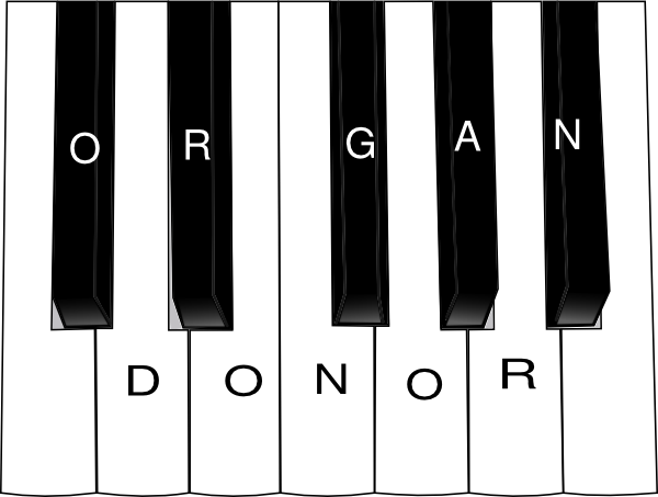 organ clipart free - photo #9