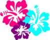 Hibiscus Clip Art