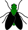 Green Fly Black Clip Art