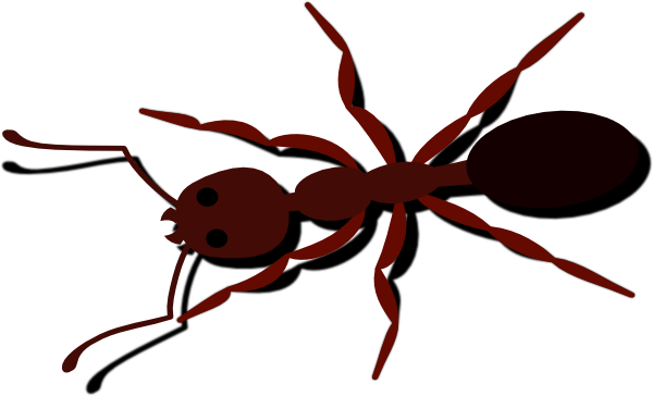 fire ant clipart - photo #3