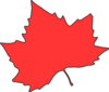 Maple Leaf Clip Art