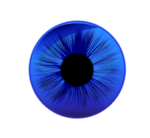 Eye Contact Lens Blue Clip Art