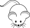 Mouse Balbc  Clip Art