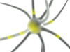 Neuron Clip Art