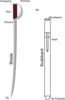Military Saber With Nomenclature- In Work Clip Art