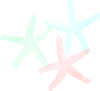 Starfish Clip Art