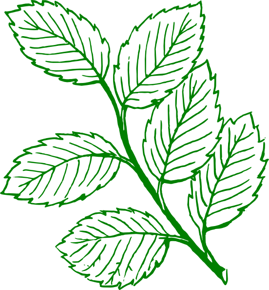 Green Outlined Mint Leaves Clip Art at Clker.com - vector clip art