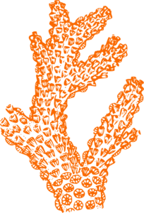Coral Orange Clip Art