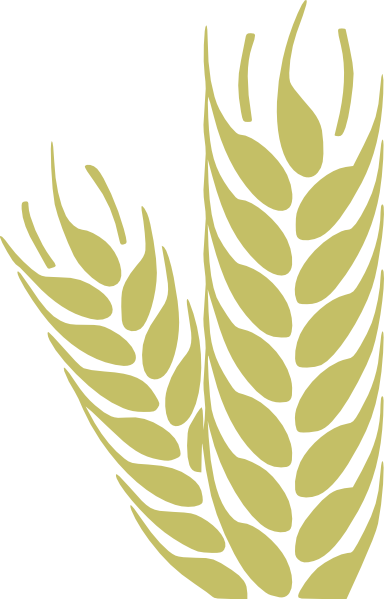 Simple Wheat Clip Art at Clker.com - vector clip art online, royalty