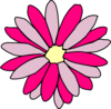 Pink Daisy Flower Clip Art