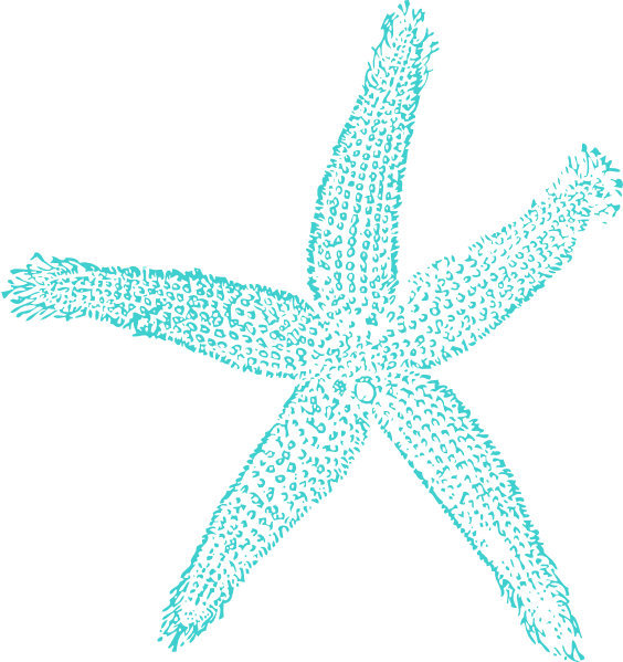 Turquoise Starfish clip art