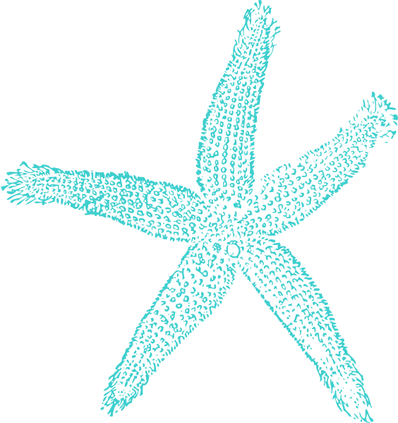 free starfish clipart - photo #5