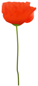 Poppy Flower Clip Art
