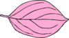 Light Pink Oval Leaf Clip Art
