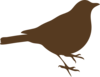 Brown Song Bird Clip Art