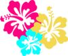 Hibiscus Flowers 2 Clip Art