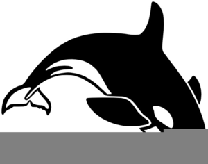 Clipart Of Whale Image