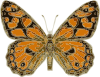 Butterfly Clip Art